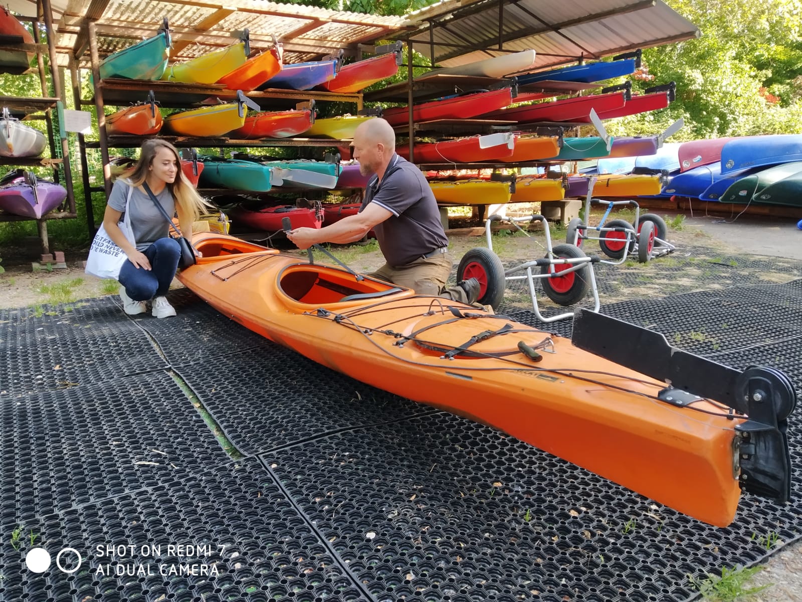 segelboot plön kaufen